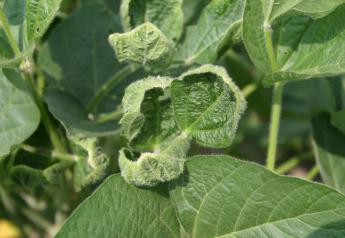 Missouri farmer charged with misuse of dicamba.