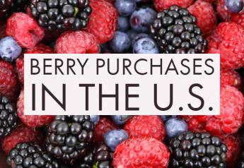 Infographic: Berry purchases by region