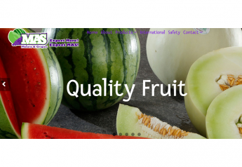 Mas Melons & Grapes redesigns website