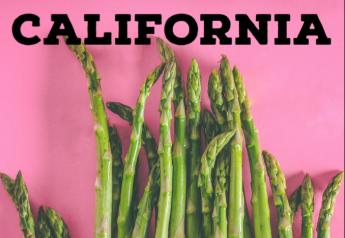 California asparagus acreage plummets