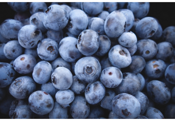Port of Hueneme starts cold treatment of Peruvian blueberries