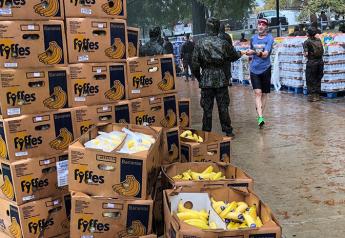 Fyffes endorses plans to uphold human rights
