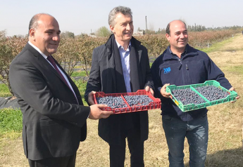 Argentina’s president visits blueberry exporter