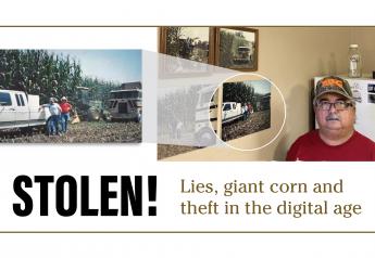 Stolen! Lies, Giant Corn and Theft in the Digital Age