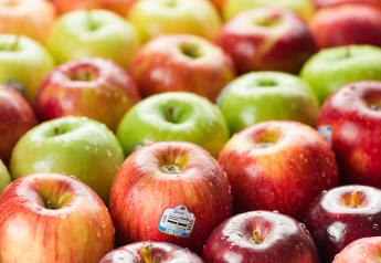 Apples remain the top produce snack item, making up a large part of the category along with grapes and bananas.