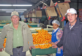 South African citrus leader Van der Merwe united growers 