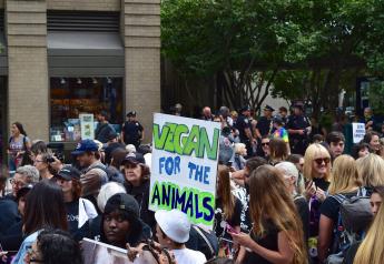 Things Animal Rights Activists Say: 2020 Edition