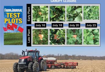 Farm Journal Test Plots: Early Start Pays Off for Soybeans
