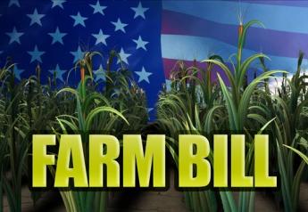 A freshman Republican sees farm bill failure as setback for GOP.