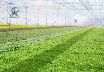 BrightFarms expands nationally with new greenhouses in three states