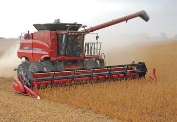 Proper adjustment of flex-head small grain platforms is key to minimizing grain loss 