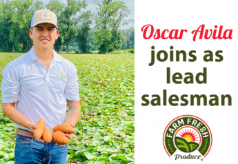 Farm Fresh Produce hires Oscar Avila in sweet potato sales