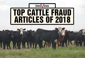 Top 10 Cattle Fraud Articles of 2018