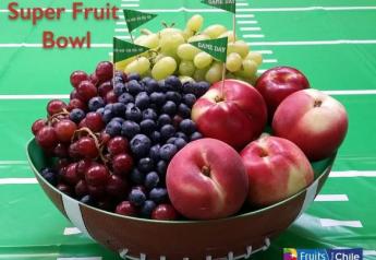 Chilean Fresh Fruit launches  “Super Fruit Bowl” campaign