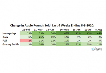 Data show strong apple demand this summer