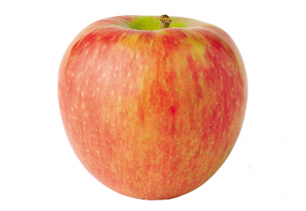 New Michigan apple partnership adds Elite Apple supply