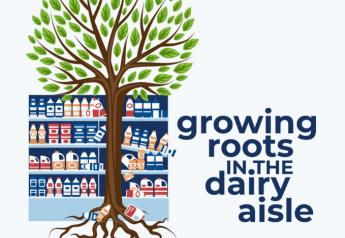 Plants are Taking Root in the Dairy Case