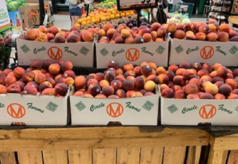New Jersey Peach Promotion Council elects new chairwoman