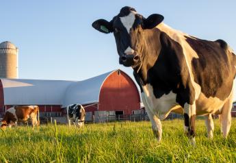 Removing All Dairy Cows Would Have Little Impact on Greenhouse Gases