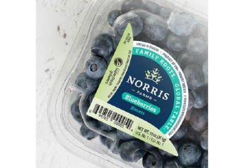 Northwest blueberry season around the corner
