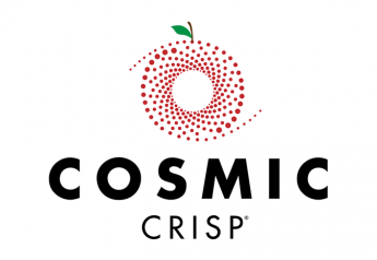 Cosmic Crisp apples to launch with $10 million campaign