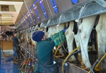 Farm Workforce Bill Gets Dairy Nod Of Approval