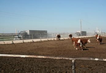 Transportation involves a number of known stressors, including loading, unloading, an unfamiliar environment and co-mingling with unfamiliar cattle. 