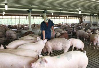 U.S. Pig Farmers Embrace Responsible Antibiotic Use Every Day