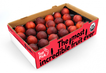 Stemilt Growers offers stone fruit, like these nectarines, in its 15-pound bulk Top Pick program.