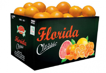 Three citrus groups join forces with Florida Classic Growers