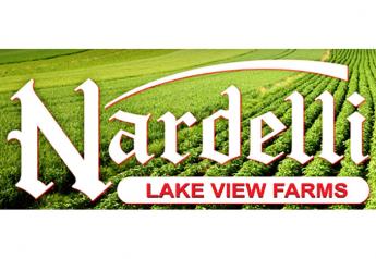 Nardelli Bros. continues tray-pack corn