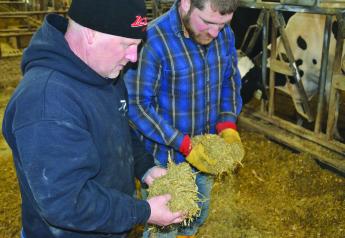 Clay Could Improve Degradability of Dairy Feeds