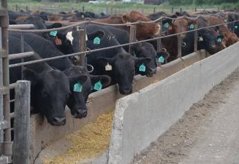 Behavior monitoring proves beneficial for feedyards.