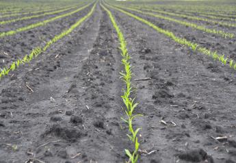 For applications on Enlist corn, Assure II can be applied in V2-V6 growth stage. 