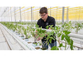 Ontario’s greenhouse growers ready for big season