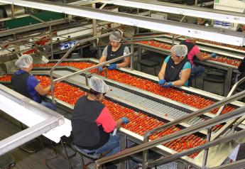 Florida, Mexico tomato groups spar over trade
