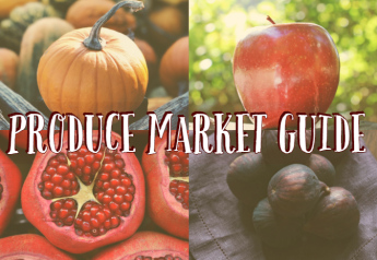 Pomegranates enter top 20 on Produce Market Guide