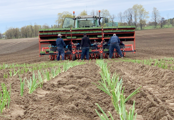 Rain delays plantings for many Ontario growers