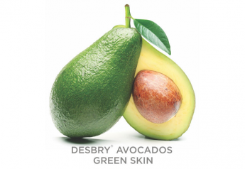 WP Produce takes green-skinned avocados year-round