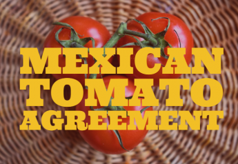 New Mexican tomato proposal finds cool reception by Florida growers