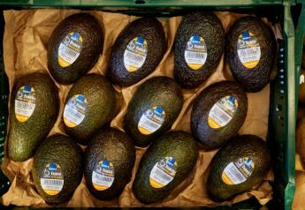    Apeel avocados and citrus are seeing expanded distribution in Germany.