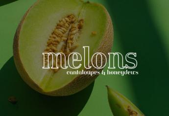 Cantaloupes, honeydews plentiful this spring, summer