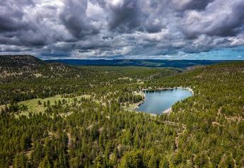 40,000 Acre Oregon Cattle and Timberland Ranch Listed for $30 Million
