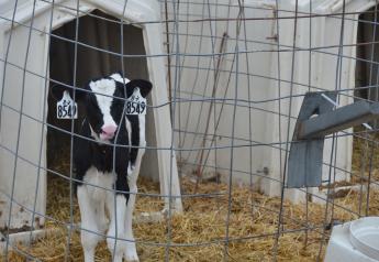 The Minnesota Legislature passed the $8 million Minnesota Dairy Assistance, Investment and Relief Initiative (DAIRI) this year, in response to crisis in the dairy industry in Minnesota, the seventh-biggest dairy producer in the United States.