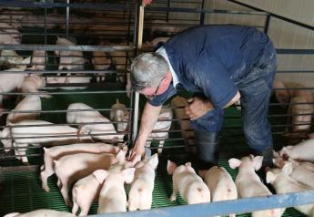Pork Industry in 2020: Passionate, Optimistic and Grateful