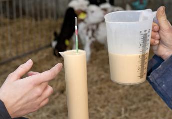 Colostrum: The Nearly Magical Mix