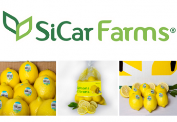 SiCar Farms ships Mexican lemons