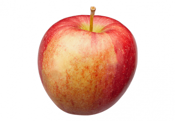 A braeburn variety apple