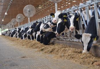 Alltech ONE 2019: Innovation and Global Marketplace a Focus for Dairy