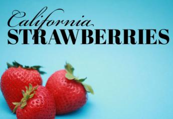 Southern California's strawberry season off to a good start